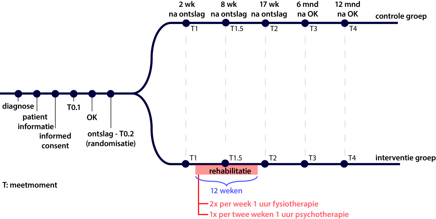 Flowchart studie